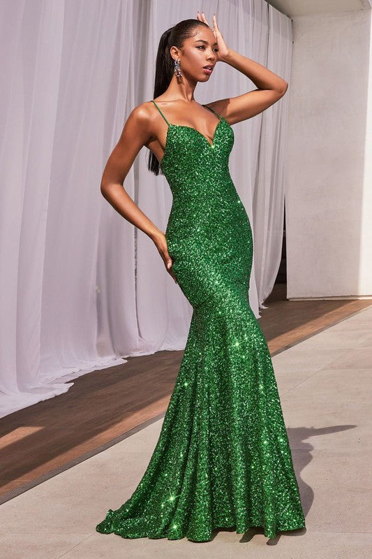 Robe de bal - CH066