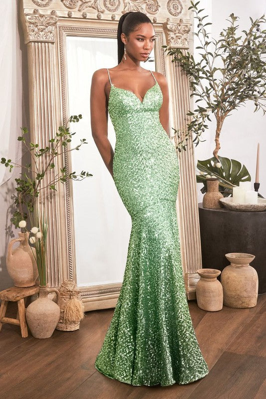 Robe de bal - CH066